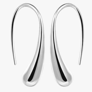 Waterdrop Hook Earrings
