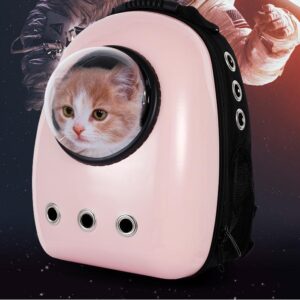 Give Your Baby A Window To The World - Not Your Regular Pet Carrier