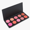 Blush Palette with 10 Beautiful Colors to Suit Every Occasion