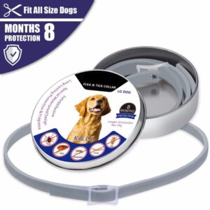 Flea and Tick Collar for Dog