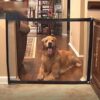 Mesh Pet Gate