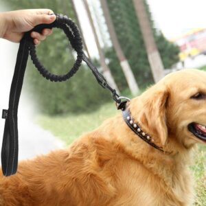 Shock Absorbing Bungee Dog Leash