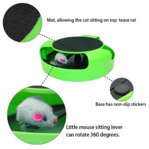 Cat Training Toy