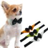 Woof Toys? Pet Bowtie Collar