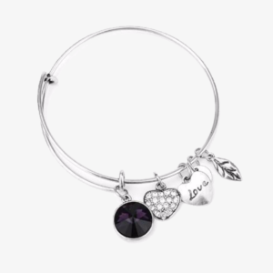 February Birthstone Charm Bangle