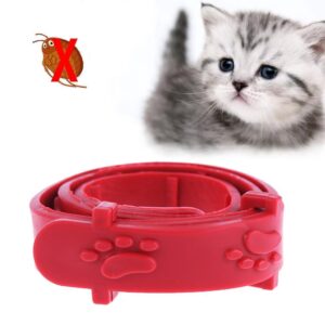 Cat Flea Collar