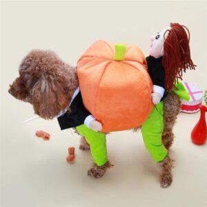 Halloween Pumpkin Dog Costume