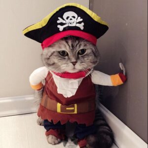 Funny Cat Costume Pirate Suit Corsair