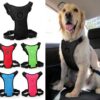 Dog Car Seat Belt Harness